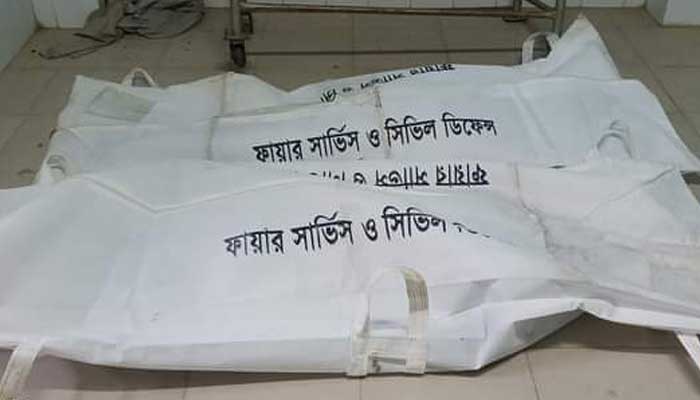বাড়ি ফেরার পথে দুই ভাই নিহত