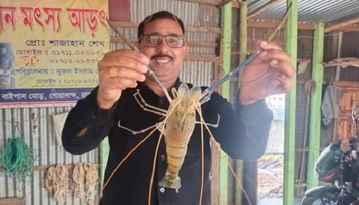 ৬০০ টাকায় বিক্রি এক চিংড়ি!