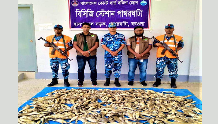 পাথরঘাটায় ৩০০ কেজি হাঙরসহ আটক ১