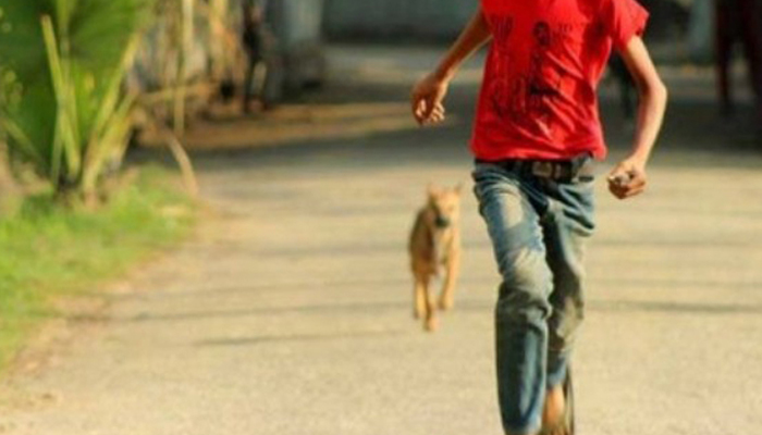 কুকুরের কামড়ে শিশুসহ ১১ জন আহত