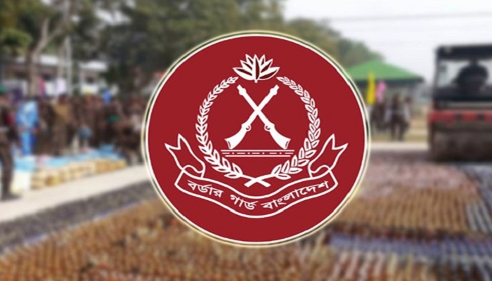 বিজিবির অভিযান: ভারতীয় রুপি ও ইয়াবাসহ আটক ১