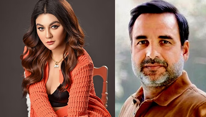 হিন্দি সিনেমায় জয়া