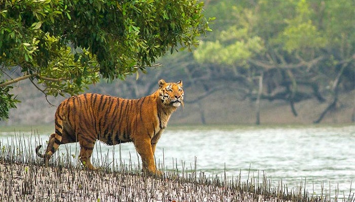 খুলনা ও বাগেরহাটে গড়ে তোলা হচ্ছে ৪ পর্যটনকেন্দ্র