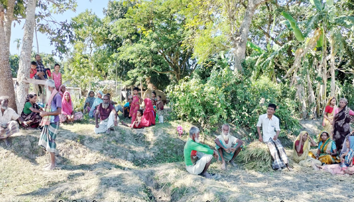 লুটপাটে মুখ থুবড়ে পড়েছে কর্মসৃজন প্রকল্প