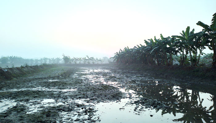 অভয়নগরের ধলিয়ার বিলে নির্মিত হবে ইপিজেড