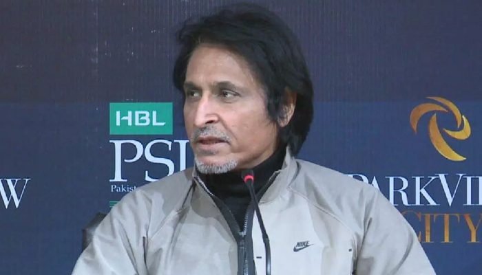 বরখাস্ত হলেন রমিজ রাজা