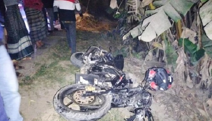 টাঙ্গাইলে ট্রাকচাপায় ২ স্কুলছাত্রের মৃত্যু