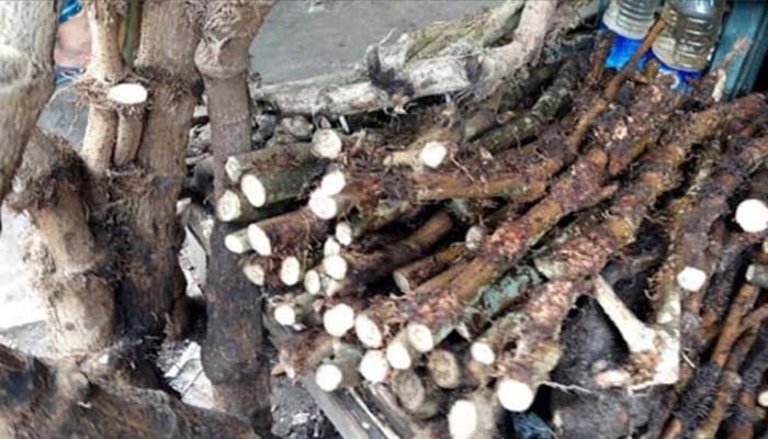চাহিদা ও আবাদ ‘বাড়ছে’ চুইয়ের