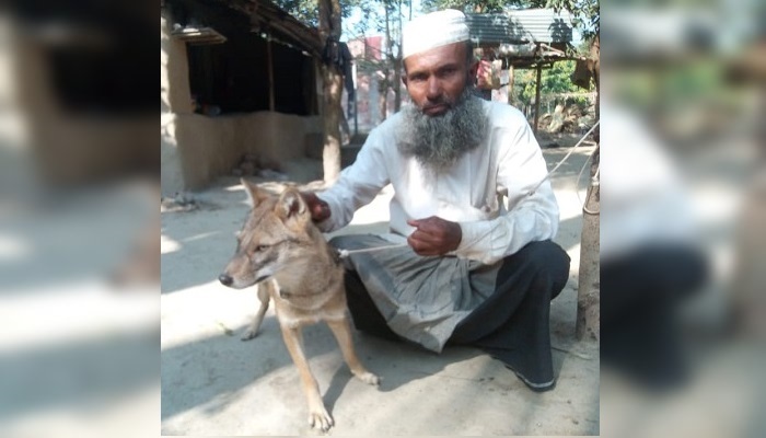 ভালোবাসা দিয়ে শিয়ালকে পোষ মানালেন শাহাদত