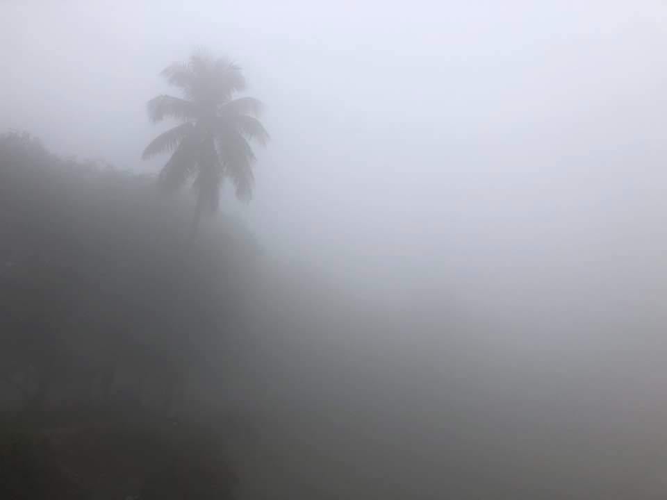 কুয়াশাচ্ছন্ন রাজশাহীতে দিনভর সূর্যের দেখা নেই
