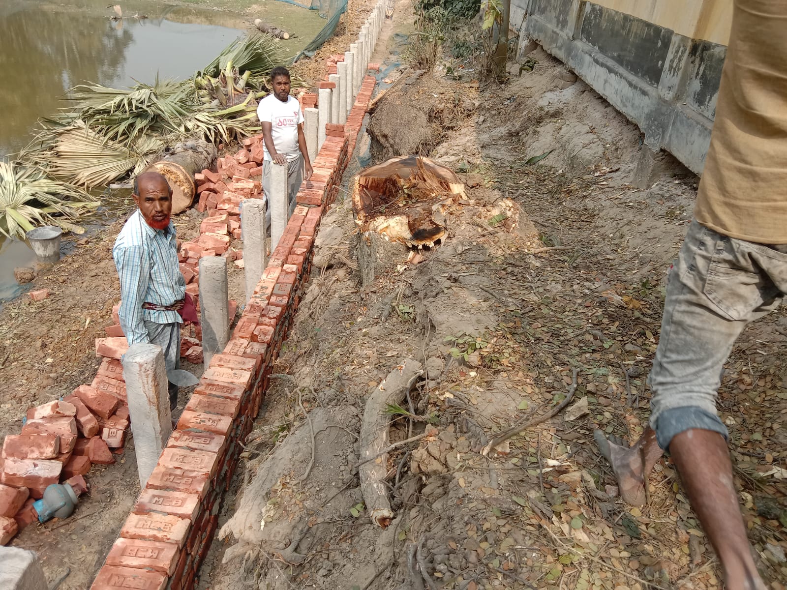 ক্ষেতলালে অনুমতি ছাড়াই বিদ্যালয়ের গাছ কাটার অভিযোগ