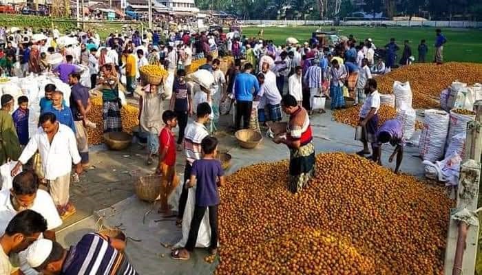 কাউখালীতে অপরিকল্পিত সুপারির হাট, স্থানান্তরের দাবি