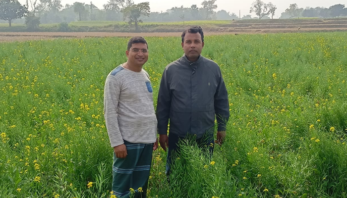 রিলে পদ্ধতিতে ফসল চাষে ঝুঁকছেন রাজশাহীর কৃষকরা