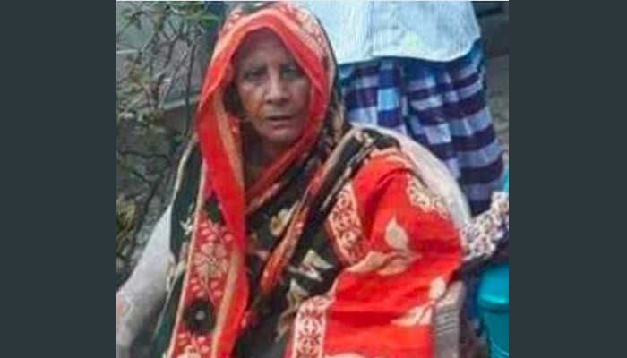 আগুন পোহাতে গিয়ে প্রাণ গেলো বৃদ্ধার