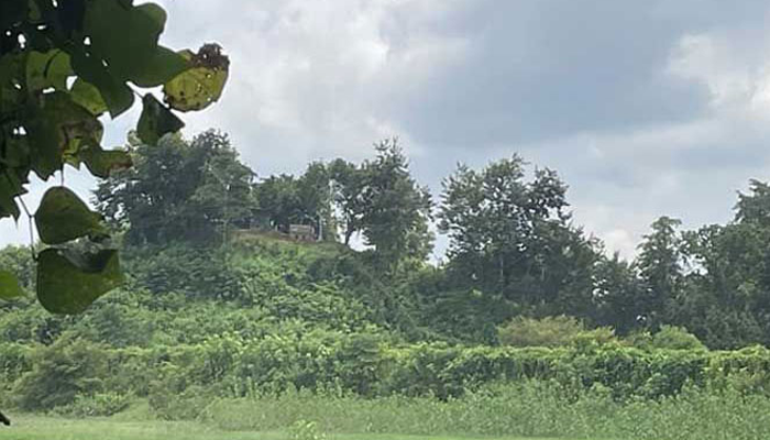 উখিয়া সীমান্তে ইয়াবা কারবারি-বিজিবির গোলাগুলি