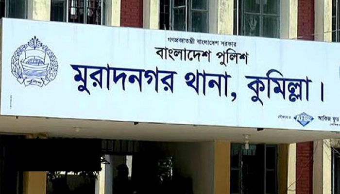 মুরাদনগরে ডাকাত সন্দেহে গণপিটুনিতে দুই জন নিহত