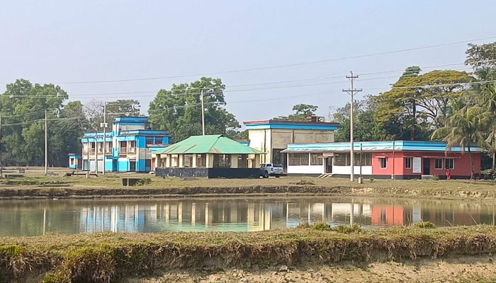 জনবল সংকটেও মা মাছ সংগ্রহের মাধ্যমে উৎপাদন শুরু