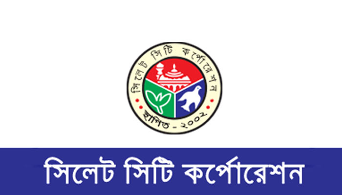 সিসিকে করধার্য শাখার অনিয়ম