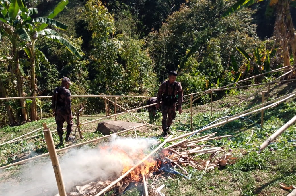 থানচিতে ৩০ একর পপি খেত পুড়িয়ে দিল বিজিবি