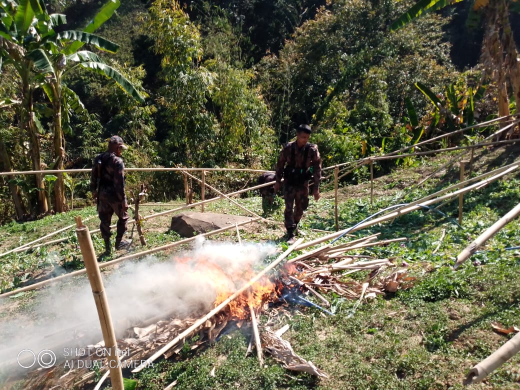 থানচিতে ৩০ একর পপি খেত পুড়িয়ে দিল বিজিবি