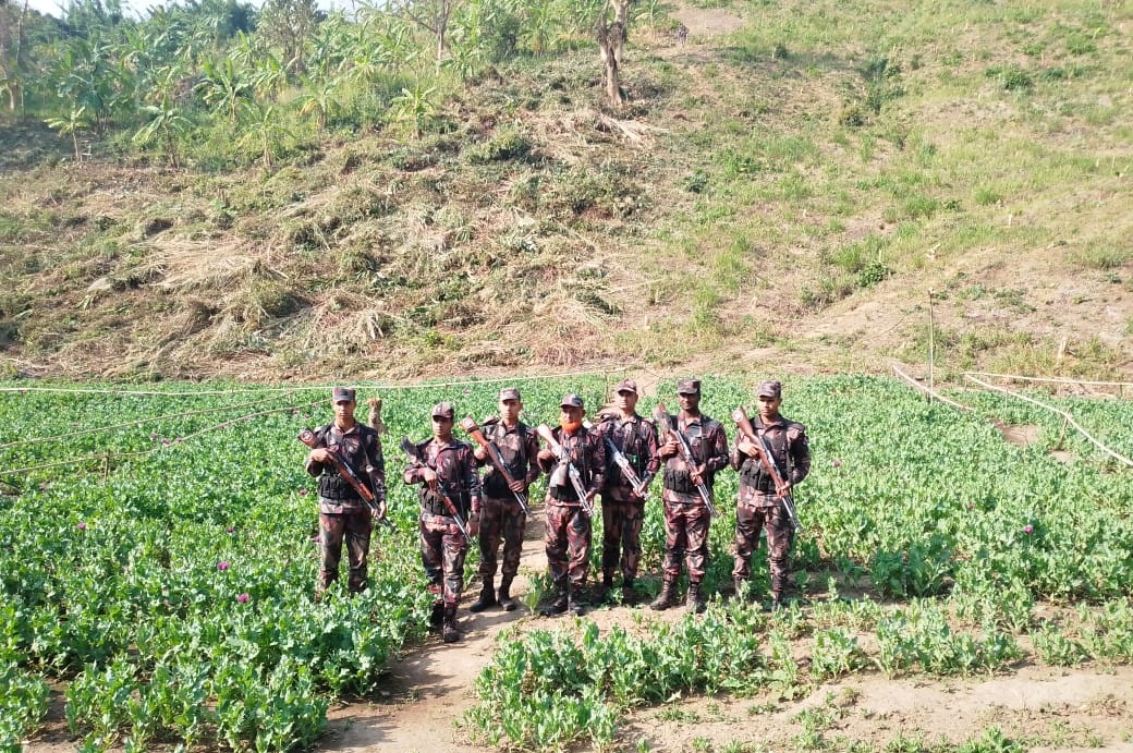 থানচিতে ৩০ একর পপি খেত পুড়িয়ে দিল বিজিবি