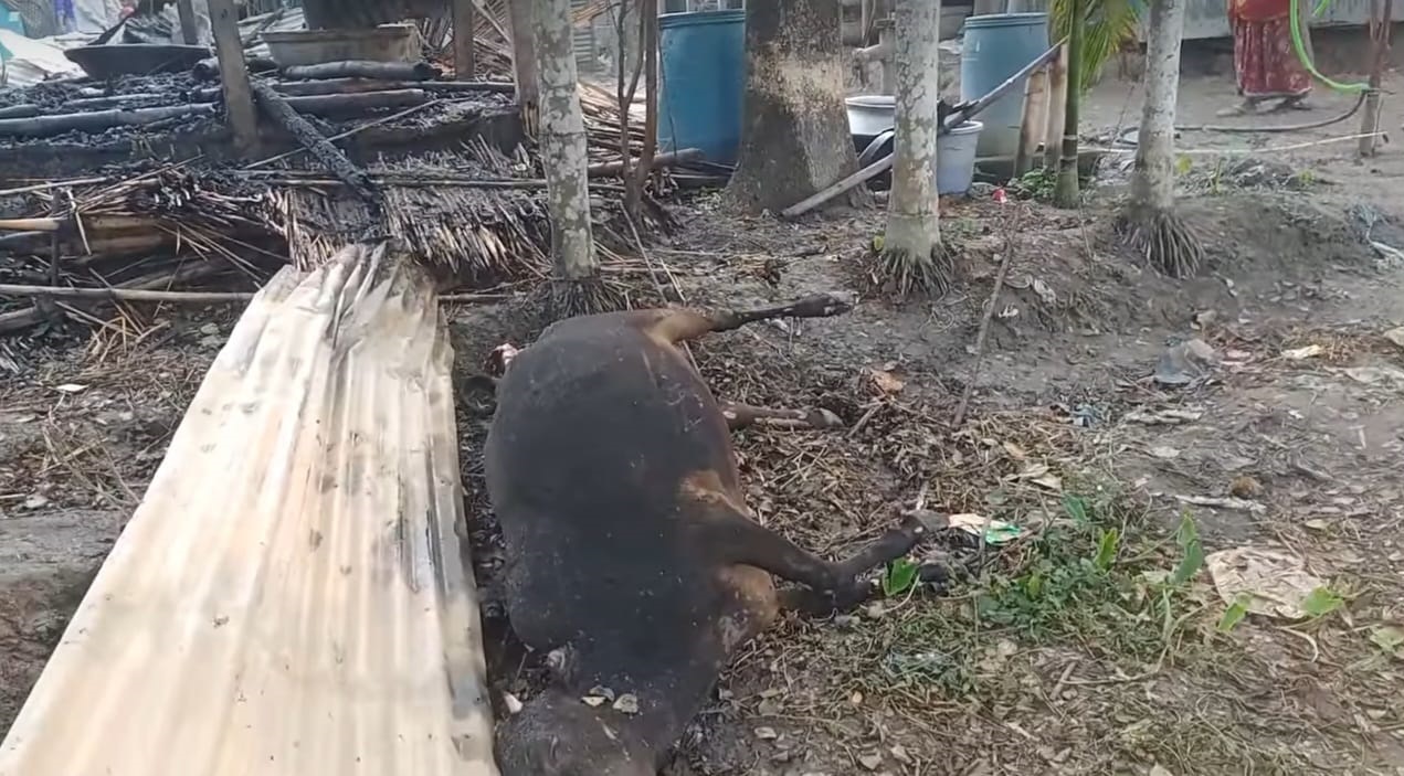 আটপাড়ায় আগুনে পুড়ে নিঃস্ব হলেন কৃষক