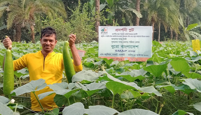 বিষমুক্ত সবজি চাষে আনোয়ারের সাফল্য