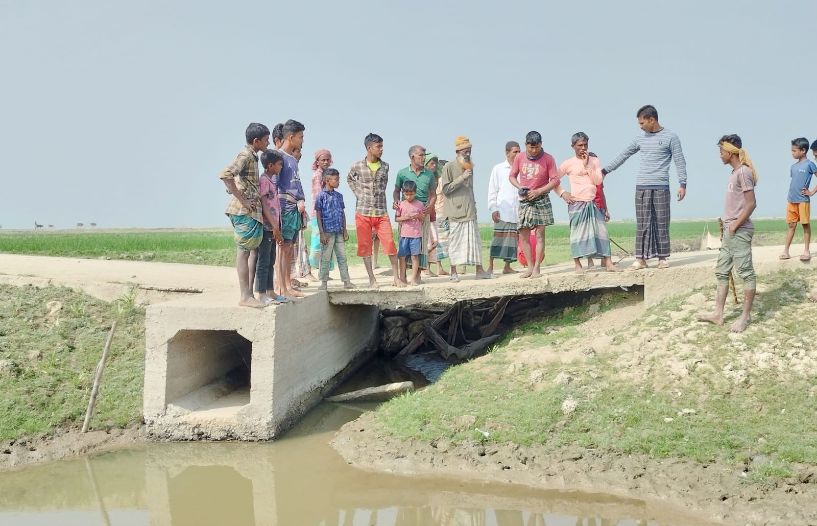 মদনে ইজারাকৃত জলাশয়ের পানি ছেড়ে মাছ নিধন!