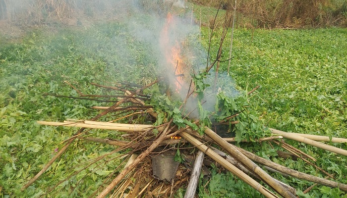 থানচিতে ফের পৌনে তিন কোটি টাকার পপি খেত ধ্বংস