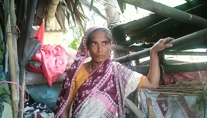 জরাজীর্ণ ঝুপড়িতে দুই সন্তান নিয়ে হালিমার বসবাস