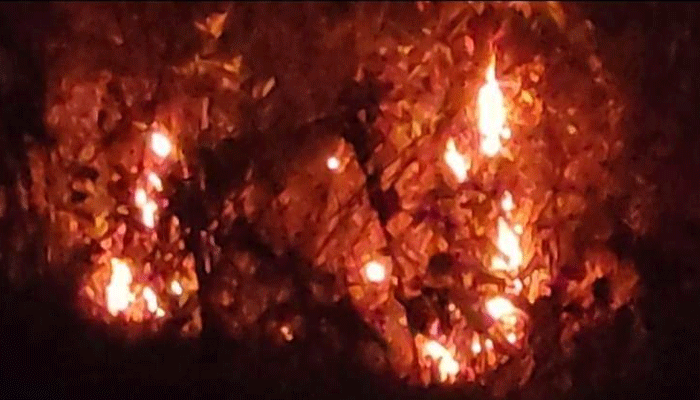 কুবির পাহাড়ে আগুন, সাংবাদিককে হেনস্তা প্রশাসনের