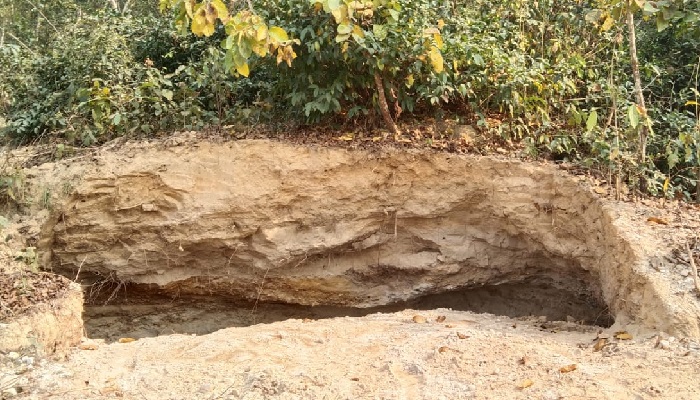 শেরপুরে গারো পাহাড়ে পাথর লুটপাটের মহোৎসব