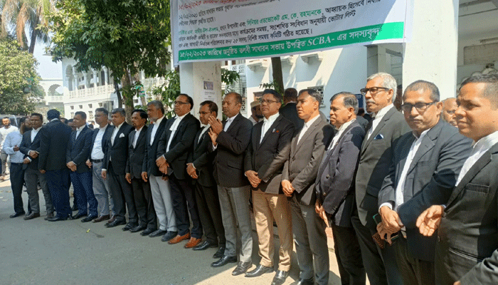 আইনজীবীরা ঐক্যমত হলে দায়িত্বে থাকবেন শাহ খসরুজ্জামান