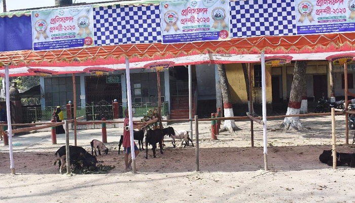 বানিয়াচংয়ে সাদামাটা প্রাণিসম্পদ প্রদর্শনী, সরকারি বরাদ্দ লোপাট!