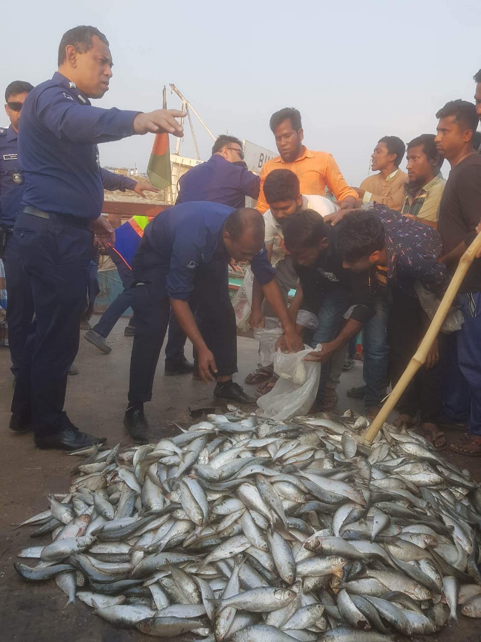 পদ্মায় জাটকা নিরোধ অভিযান, ৪ জেলে আটক