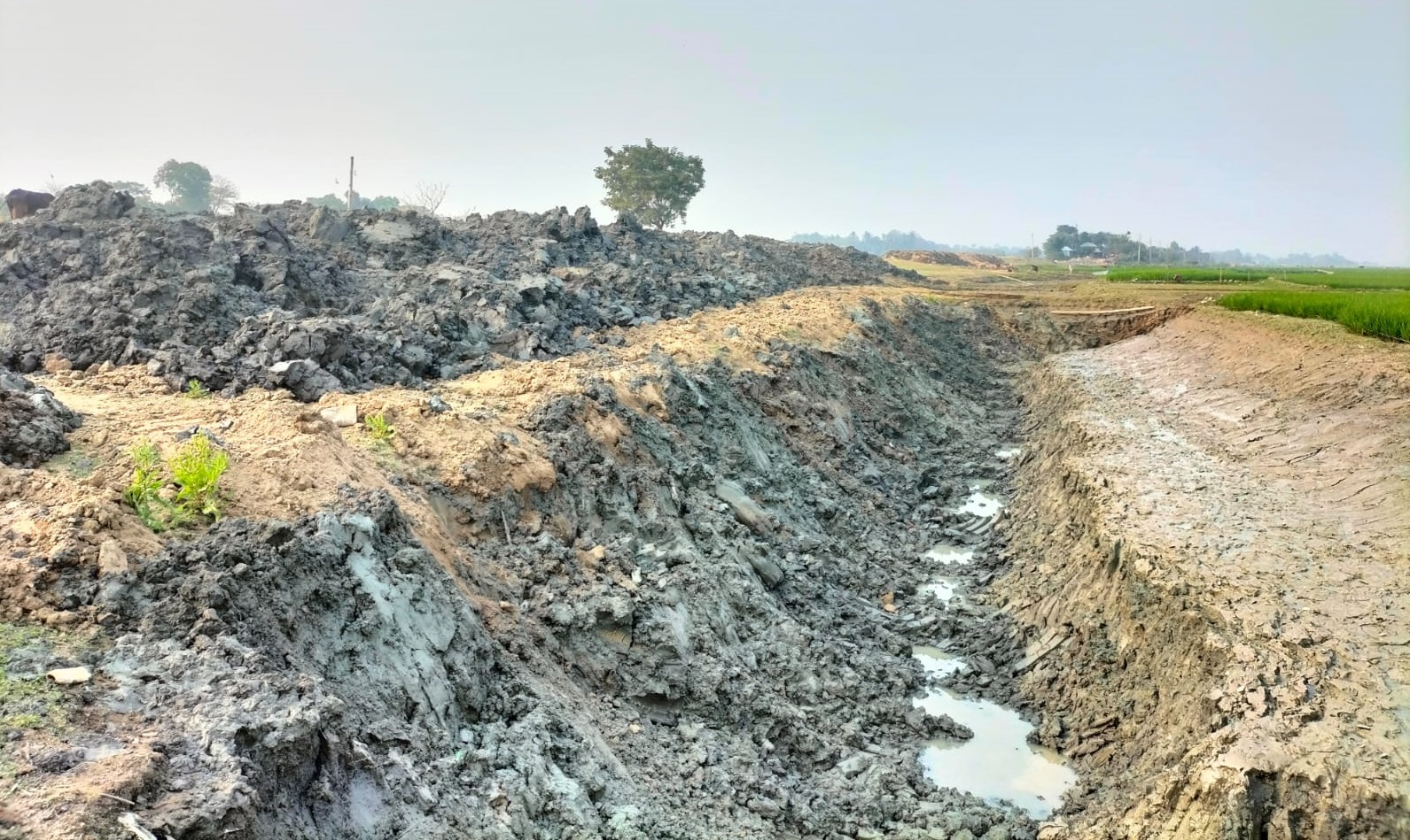 শাল্লায় ফসলরক্ষা বাঁধে বাঁধে নানা অনিয়ম
