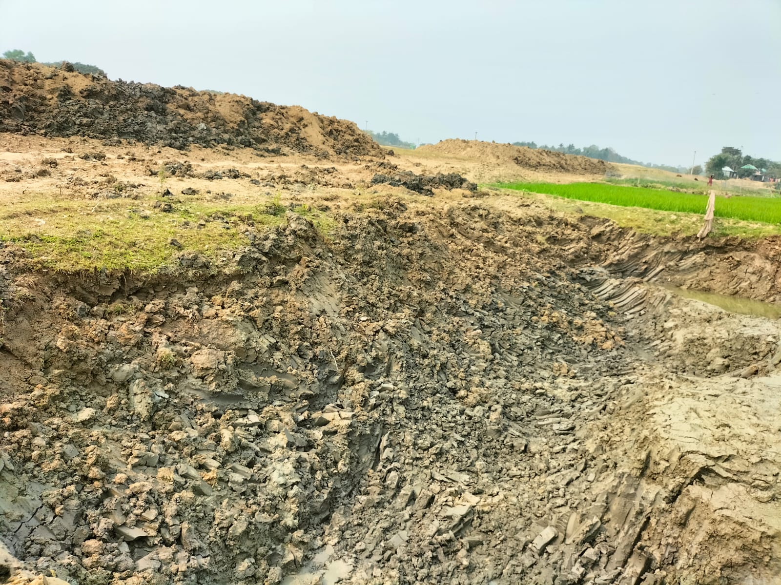 শাল্লায় ফসলরক্ষা বাঁধে বাঁধে নানা অনিয়ম