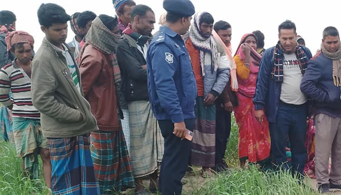 গমক্ষেতে মিললো গলায় ওড়না পেঁচানো যুবতীর মরদেহ