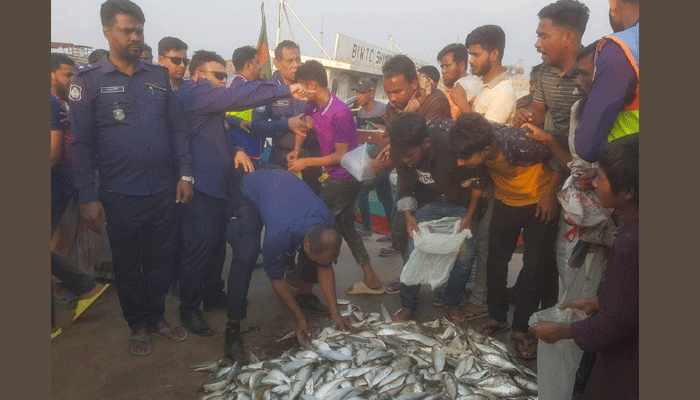 পদ্মায় জাটকা নিরোধ অভিযান, ৪ জেলে আটক