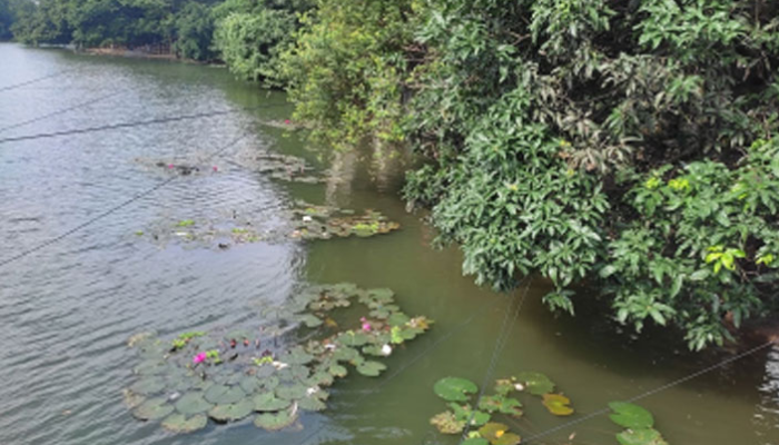 ধানমন্ডির লেকে যুবকের অর্ধগলিত মরদেহ