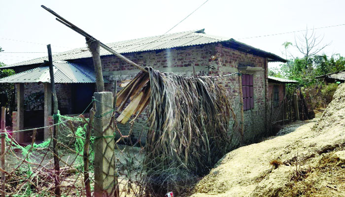 ইনানীতে সংরক্ষিত বনভূমি উজাড়