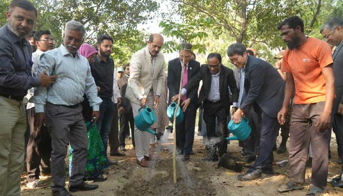 গুলশানে বৃক্ষ রোপণ কার্যক্রম উদ্বোধন করলেন মেয়র আতিকের