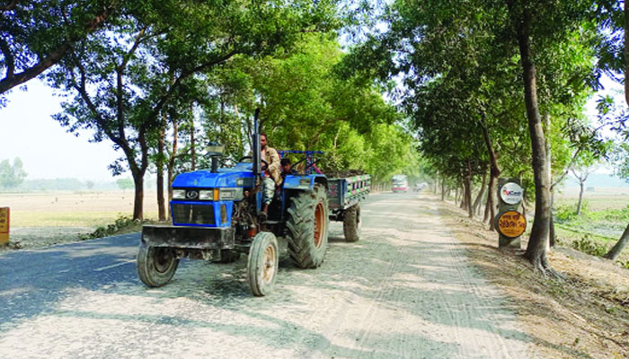 তারাগঞ্জে ট্রলি ও ট্রাক্টর আতঙ্কে পথচারীরা