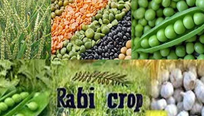 রোজার আগে শক্তিশালী কালবৈশাখীর শঙ্কা