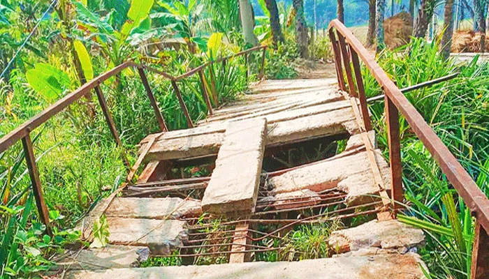 কাউখালীতে ঝুঁকিপূর্ণ সাঁকো দিয়ে খাল পারাপার