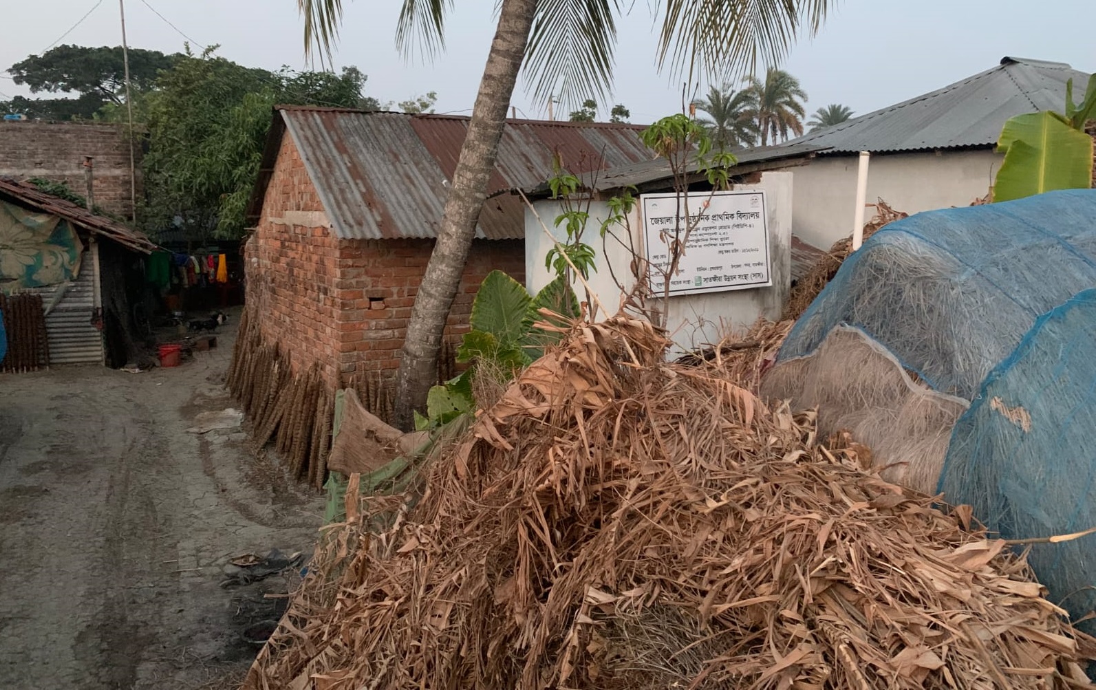 এনজিও সাসের নেই স্কুল ও ঝরে পড়া শিক্ষার্থী, হরিলুট অব্যাহত