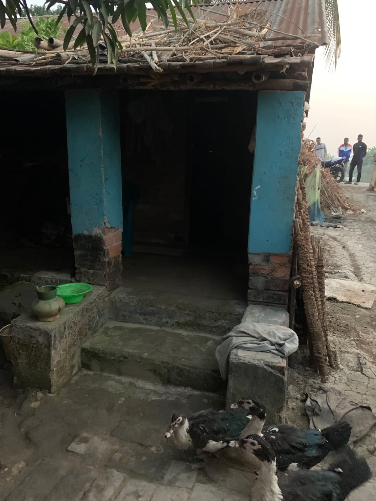 এনজিও সাসের নেই স্কুল ও ঝরে পড়া শিক্ষার্থী, হরিলুট অব্যাহত