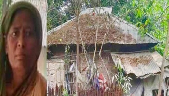 নছিরা খাতুনের বসতভিটায় ভূমিদস্যুদের থাবা