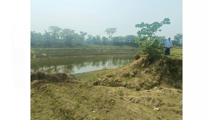 বাঁধের অভাবে বোরো ধান চাষাবাদে ভয় পাচ্ছেন কৃষক