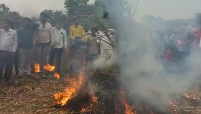 পেঁয়াজ জমিতেই জ্বালিয়ে দিচ্ছেন কৃষকরা!